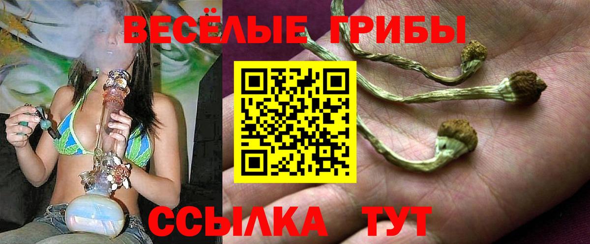 Волжск  Псилоцибиновые грибы ЛСД  Вход с VPN 